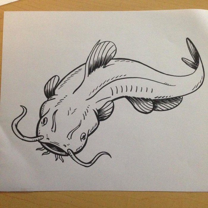 Easy worm catfish drawing