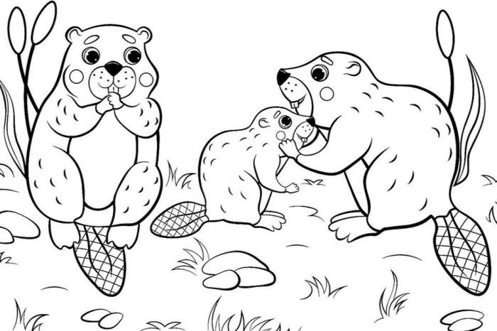 Animal coloring pictures free