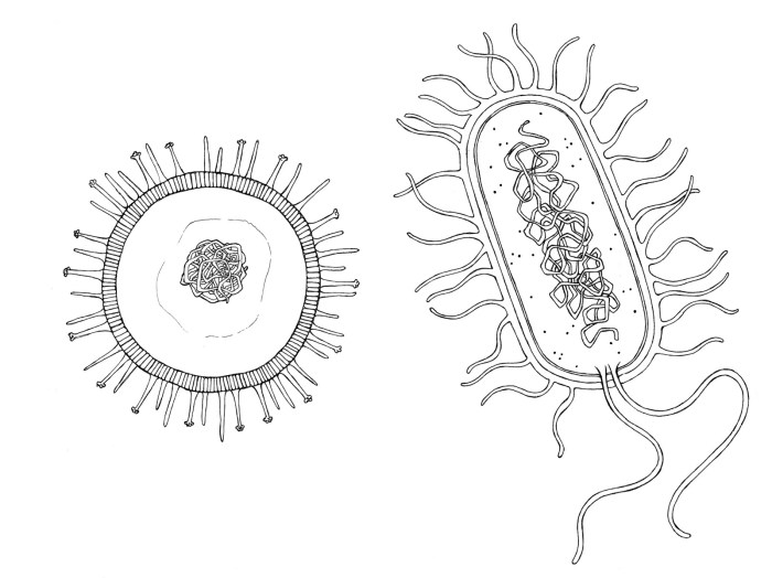 Bacteria burning drawing easy