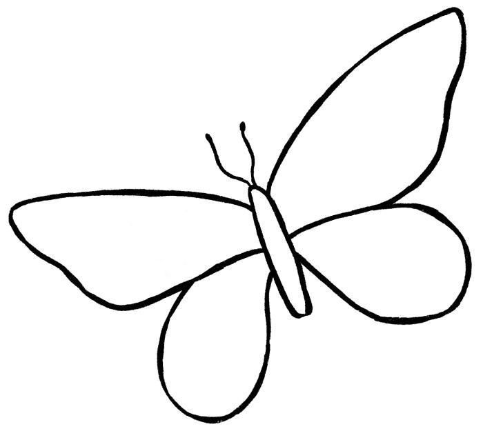 Butterflies flying drawing easy