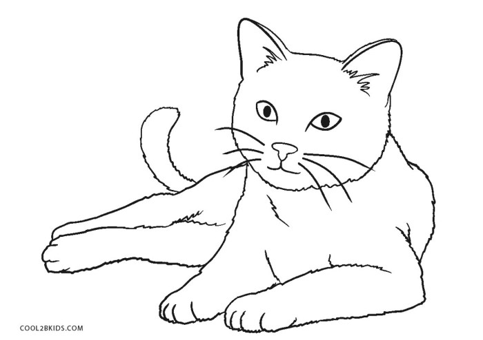 African cats animals coloring pages