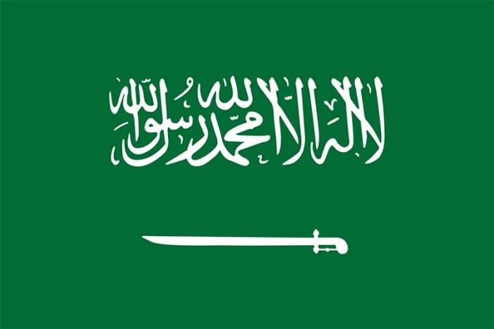 Easy drawing saudia arabia flag