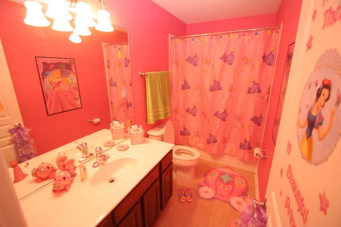 Disney princess bathroom decor