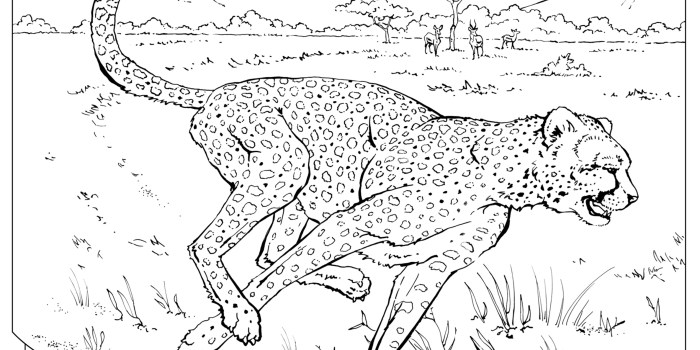 Real animals coloring pages