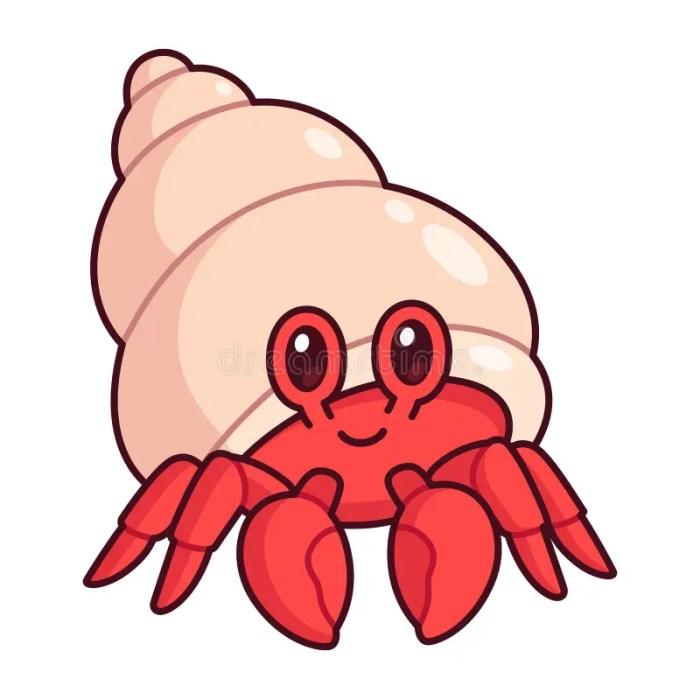 Hermit crabs drawing easy