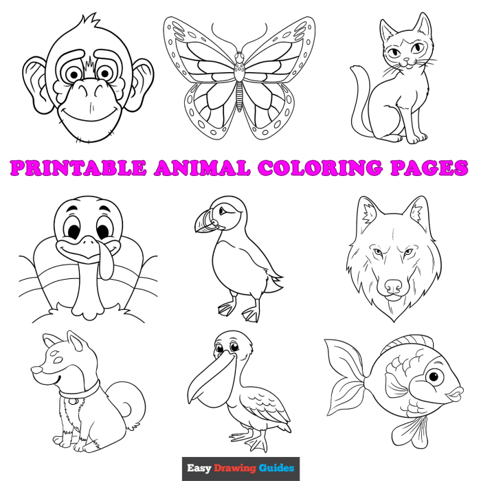 Cute coloring pictures printable animals