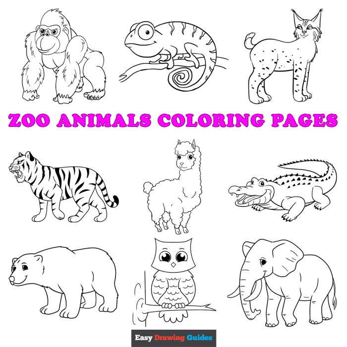 Free preschool coloring pages of zoo animals