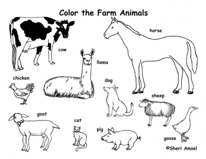 Feeding farm animals coloring