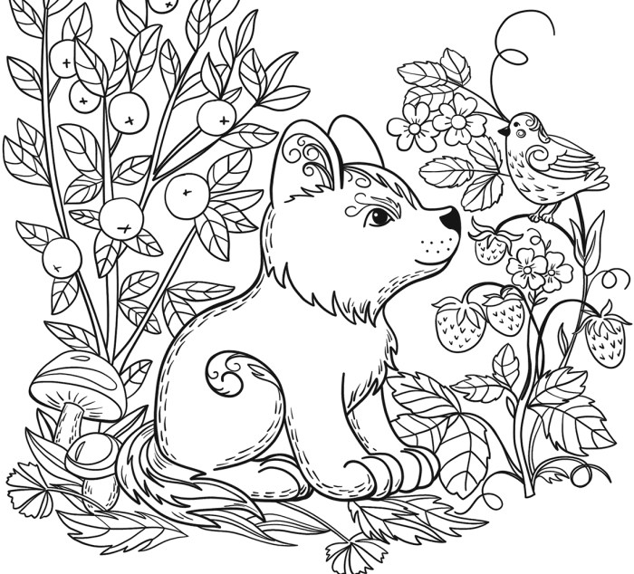 Animal printable coloring sheets