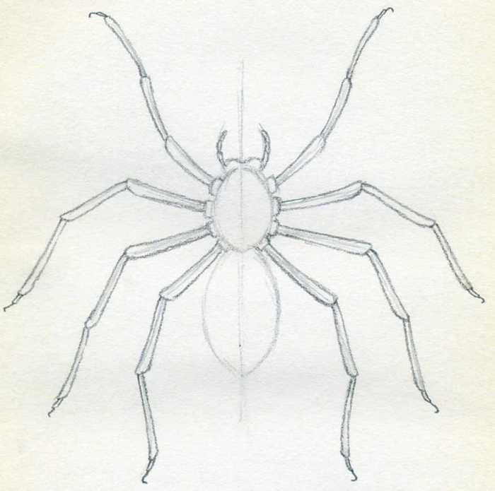 Creepy spider drawing easy