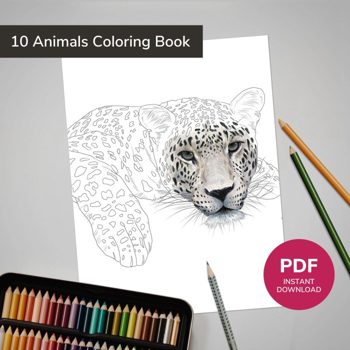 Wild coloring pages animals safari animal kids