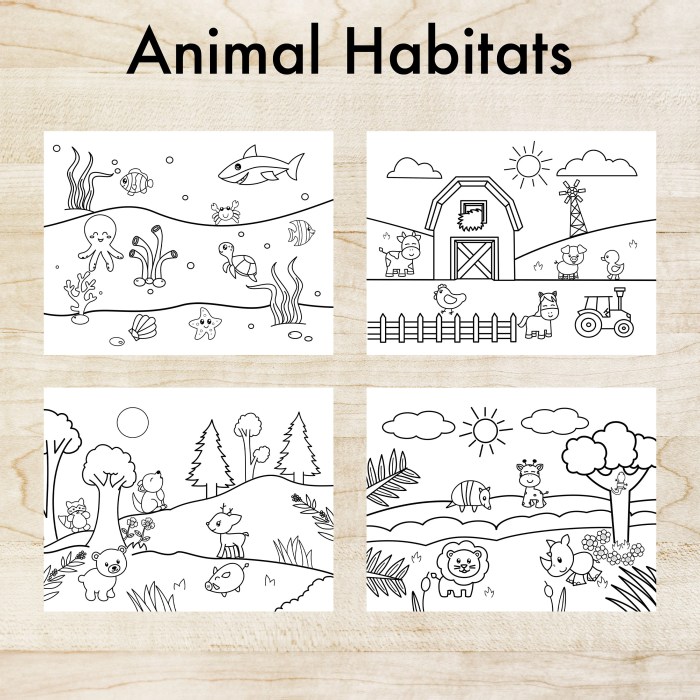 Coloring pictures of animal habitats