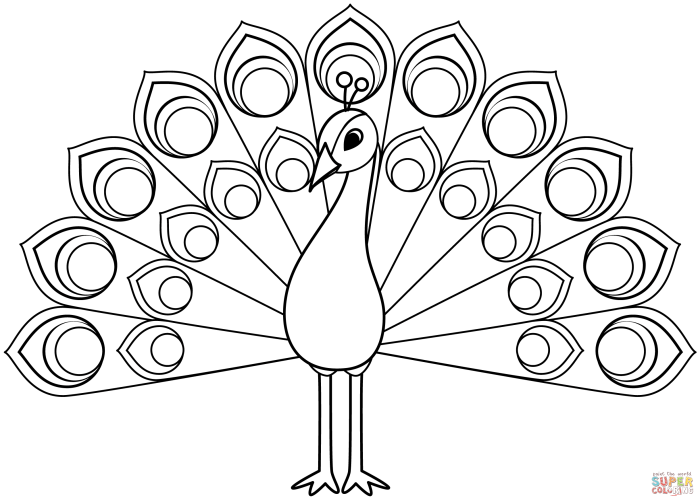 Animal coloring pages peacock