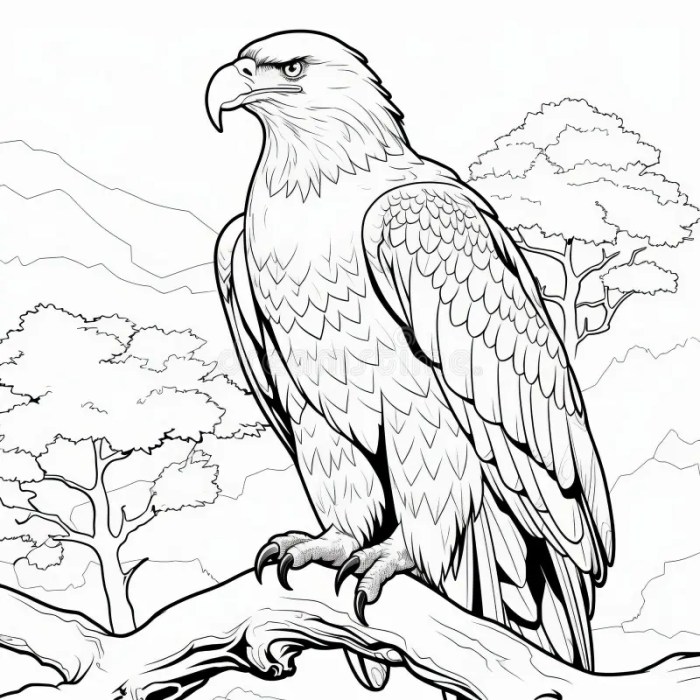 Real animals coloring pages