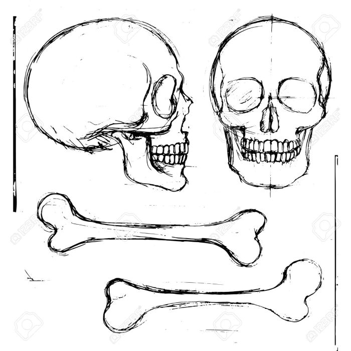 Bones easy drawing multiple