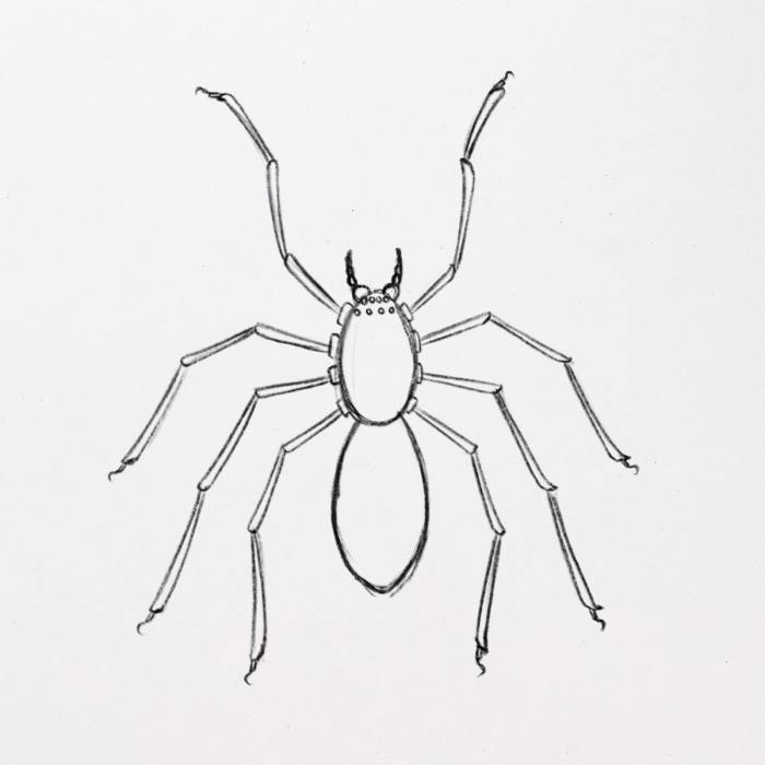 Creepy spider drawing easy