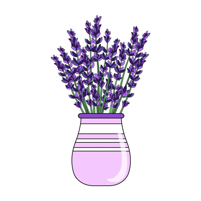 Lavandula angustifoli drawing easy